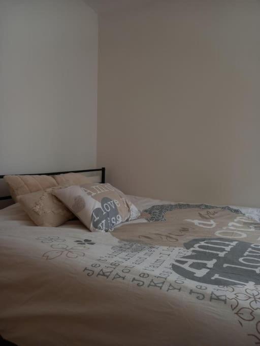 브장송 Le Doubs Cosy 아파트 외부 사진