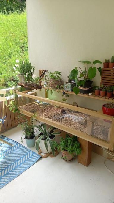 브장송 Le Doubs Cosy 아파트 외부 사진