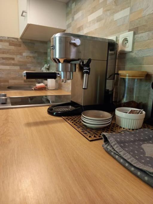 브장송 Le Doubs Cosy 아파트 외부 사진